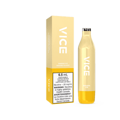 Vice 2500 Banana Ice Disposable - DISPOSABLE - Mister Vapor
