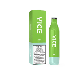 Vice 2500 Mint Disposable - DISPOSABLE - Mister Vapor