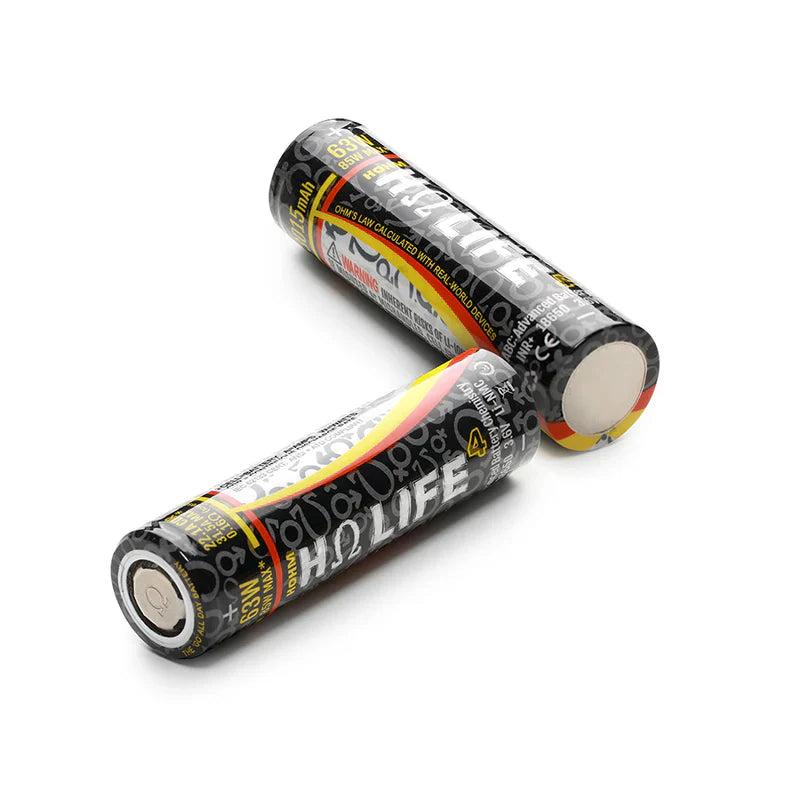 Two cylindrical batteries with visible branding on a white background