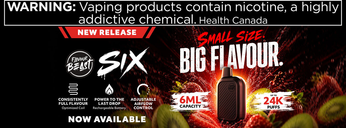 Promotional banner for a small disposable vape product labeled 'SIX' with flavor graphics including strawberries and citrus, text reading 'Small Size. Big Flavour.