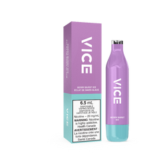 VICE 2500 BERRY BURST MELON ICE DISPOSABLE MISTER VAPOR